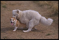 Seattle, Washington.