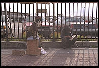 Dog begging (with a Starbucks cup) for his master.  Seattle, Washington