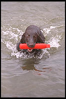 Seattle, Washington.