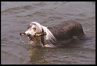 Seattle, Washington.