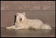 Alex on a marble sculpture in Killian Court, Massachusetts Institute of Technology.