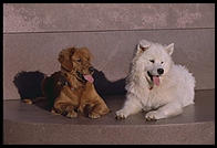 Magnolia and Alex.  On a sculpture in Killian Court, Massachusetts Institute of Technology.