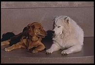 Magnolia and Alex.  On a sculpture in Killian Court, Massachusetts Institute of Technology.