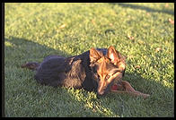 Mia.  Massachusetts Institute of Technology.