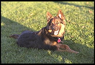 Mia.  Massachusetts Institute of Technology.