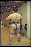 Sumo Competition. Ryogoku District. Tokyo