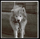 Alex.  Harvard Yard 1998.