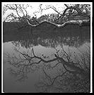 Potomac River near Washington, D.C. (from the Maryland side).