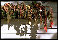 Craftsbury Common, Vermont.