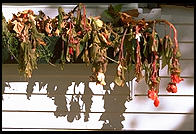 Craftsbury Common, Vermont.