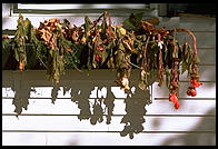 Craftsbury Common, Vermont.