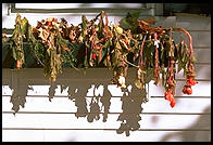 Craftsbury Common, Vermont.