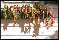 Craftsbury Common, Vermont.