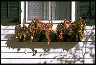 Craftsbury Common, Vermont.