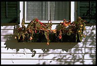 Craftsbury Common, Vermont.