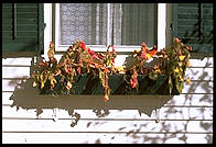 Craftsbury Common, Vermont.