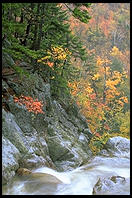 Glen Ellis Falls on Rt. 16 in New Hampshire