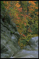 Glen Ellis Falls on Rt. 16 in New Hampshire