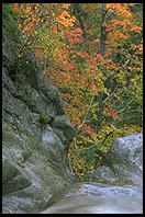 Glen Ellis Falls on Rt. 16 in New Hampshire