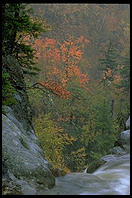 Glen Ellis Falls on Rt. 16 in New Hampshire