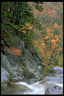 Glen Ellis Falls on Rt. 16 in New Hampshire