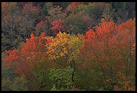 Sunrise at the so-called Hundred Mile View, Rt. 9 just west of Marlboro, Vermont.