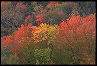 Sunrise at the so-called Hundred Mile View, Rt. 9 just west of Marlboro, Vermont.