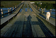 Floating Bridge.  Brookfield, Vermont