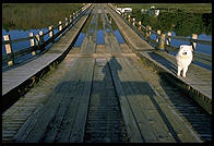 Floating Bridge.  Brookfield, Vermont