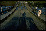 Floating Bridge.  Brookfield, Vermont
