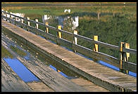 Floating Bridge.  Brookfield, Vermont